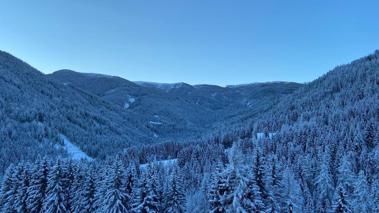 Bergblick Ruhe Und Aussicht Auf 1100M Apartment Sankt Lorenzen ob Murau Luaran gambar